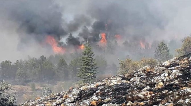 Elazığ’da Orman Yangınına Müdahale Sürüyor