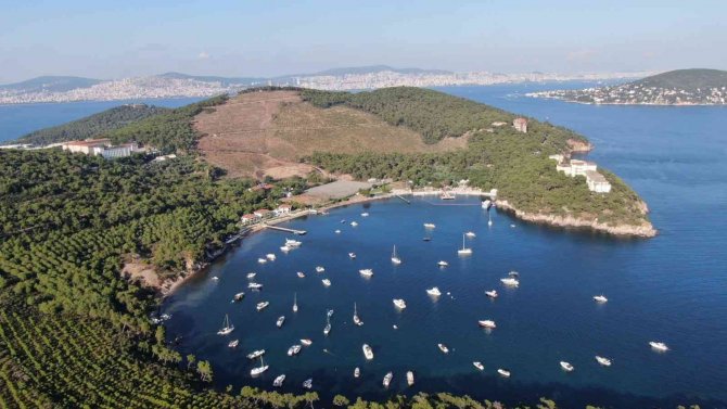 Heybeliada’da Yanan Ormanlık Alan 1. Yıl Dönümünde Eski Yeşil Görünümüne Kavuşuyor