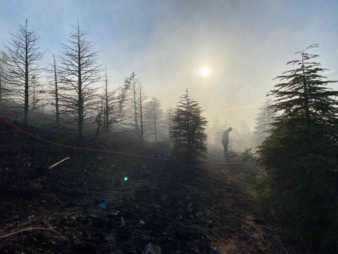 Elazığ’da Orman Yangınına Müdahale Sürüyor