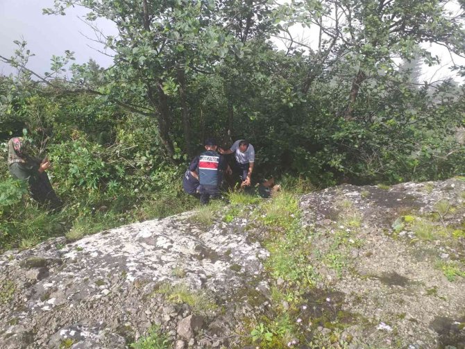 Trabzon’da Uçuruma Düşen Turisti Ekipler Kurtardı