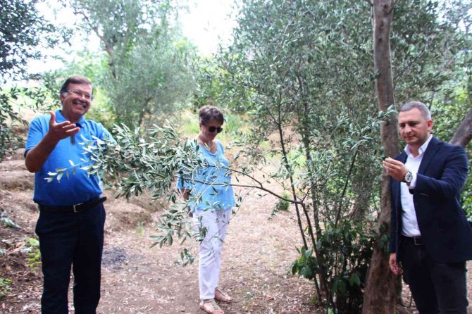 Tarihi Trabzon’da Milattan Önceye Dayanıyor Ama Bugünlerde Adı Var Kendisi Yok