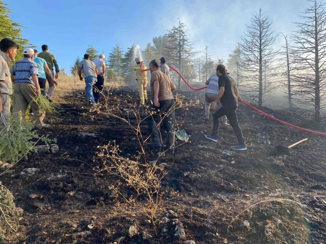 Elazığ’da Orman Yangınına Müdahale Sürüyor