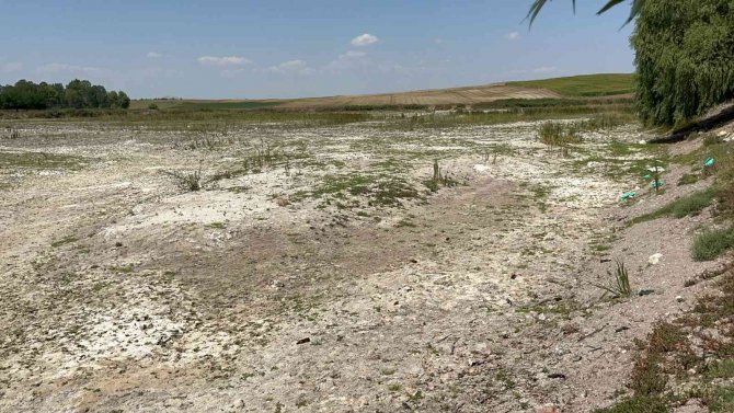 3 Yıl Önce Yüzülen Akarsu Kurudu