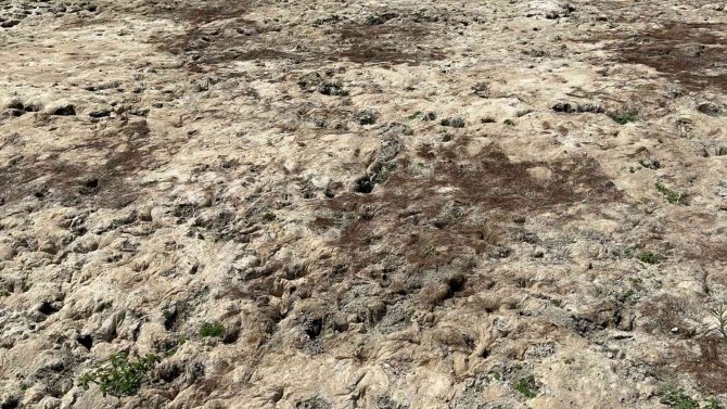 3 Yıl Önce Yüzülen Akarsu Kurudu