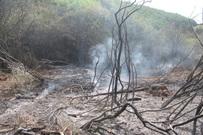 Bayburt’ta Örtü Yangınında 100 Dekara Yakın Alan Zarar Gördü