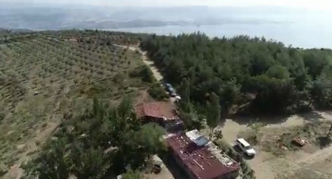 Ormana Uyuşturucu Diktiler, Dron İle Yapılan Operasyonda Yakalandılar