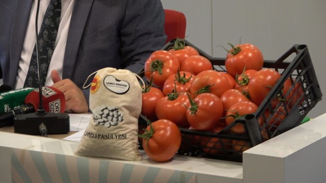 Başkan Arslan Festival Coşkusunu Yaşamak İsteyenleri Çameli’ye Davet Etti