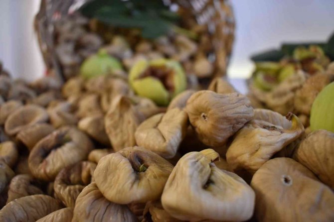 Başkan Çondur: “Net Bir Şey Söylemek Doğru Olmaz”