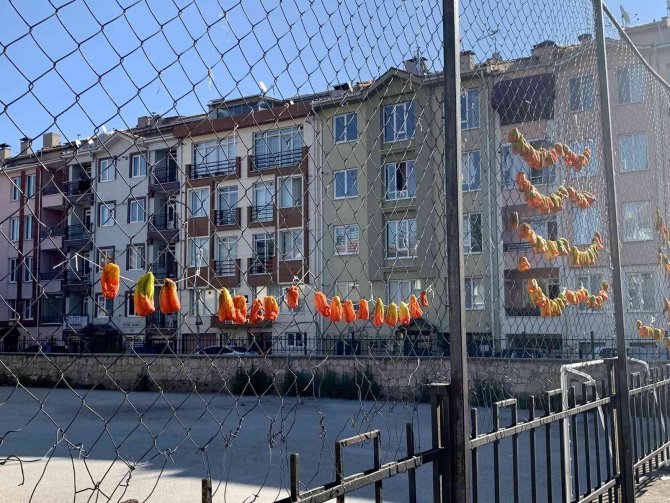 Okul Demirlerinde Sebze Kurutuyorlar