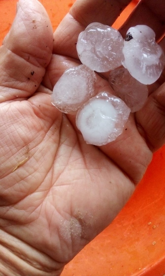 Yaz Ayında Dolu Şaşkınlığı