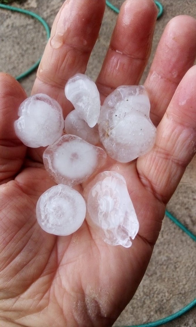 Yaz Ayında Dolu Şaşkınlığı