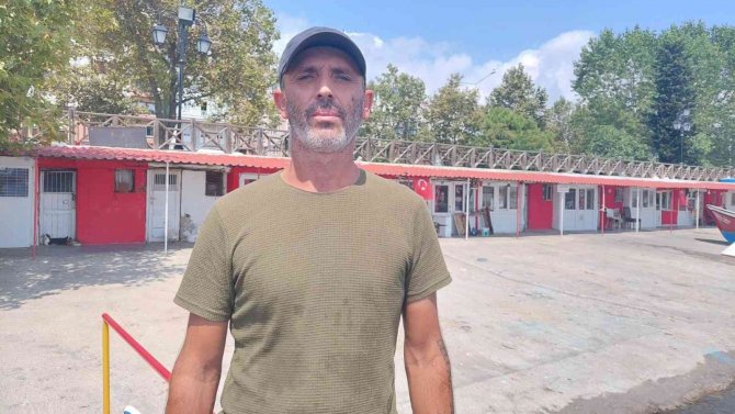 Eylül’e Sayılı Günle Kaldı: Palamut Bolluğu Bekleniyor