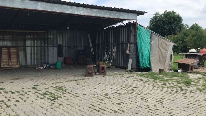 Kör Kurşunla Yaralanan Minik Musa’nın Vücudu Tedaviye Tepki Vermeye Başladı
