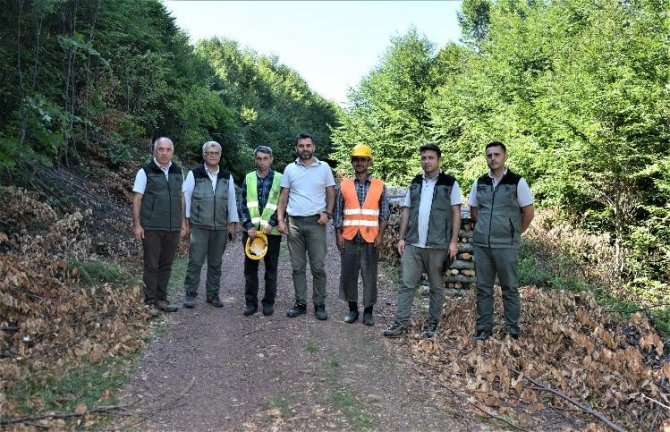 Kütahya’da Orman Bakım Çalışmaları