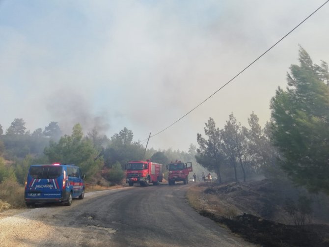 Manisa’daki Orman Yangını Kontrol Altına Alındı