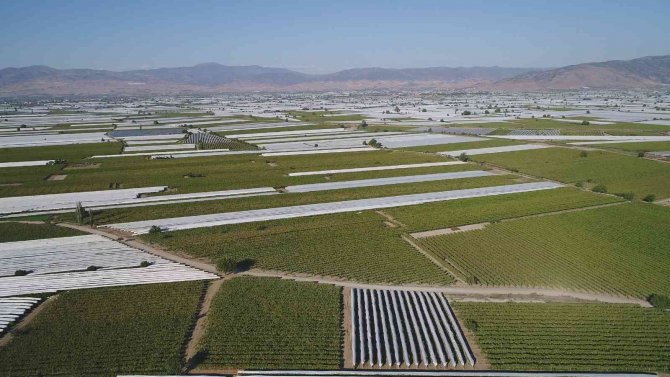 Sarıgöl Ovası Beyaza Büründü