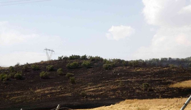 Bingöl’de Eğitim Atışı Sırasında Yangın Çıktı: Kurumuş Otların Bulunduğu Yaklaşık 10 Dönümlük Alan Kül Oldu