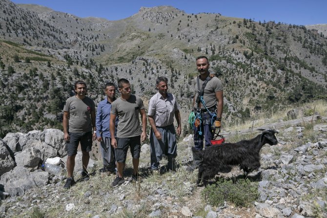 3 Gün Yamaçta Mahsur Kalan Keçiyi İtfaiye Ekipleri Kurtardı