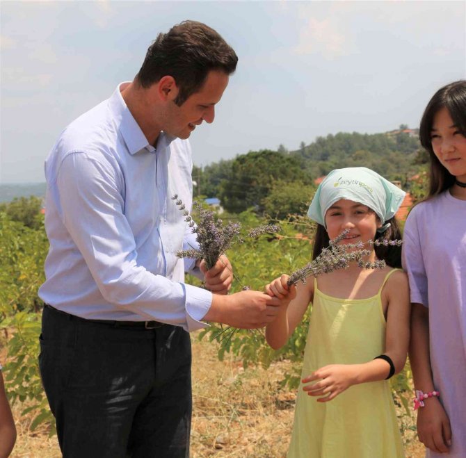 Köy Yaşam Merkezinde Lavanta Hasadı Yapıldı