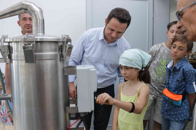 Köy Yaşam Merkezinde Lavanta Hasadı Yapıldı