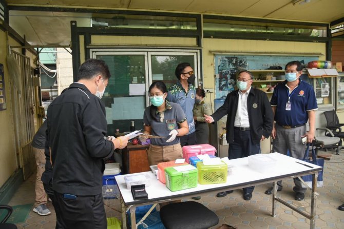 Tayland’dan Hindistan’a Giden Yolcunun Bavulundan 17 Adet Canlı Hayvan Çıktı