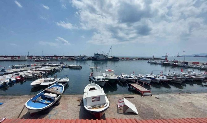 Eylül’e Sayılı Günle Kaldı: Palamut Bolluğu Bekleniyor