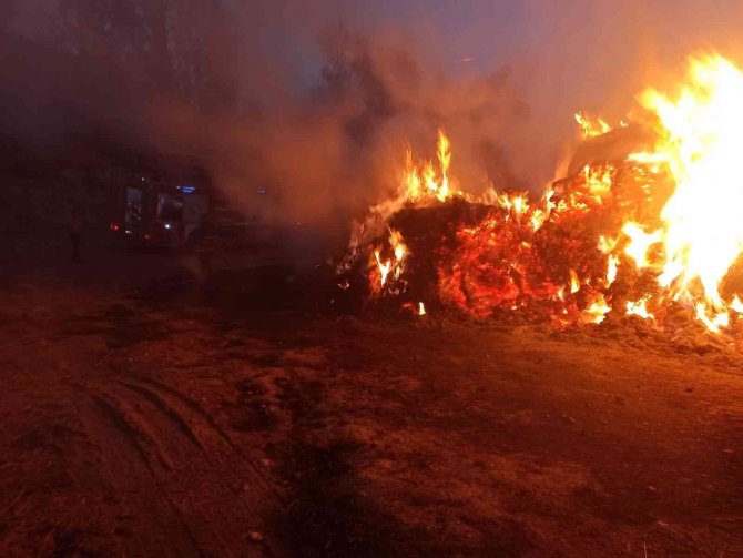 Başkale’de 5 Bin Bağ Ot Yandı