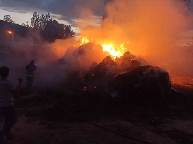 Başkale’de 5 Bin Bağ Ot Yandı