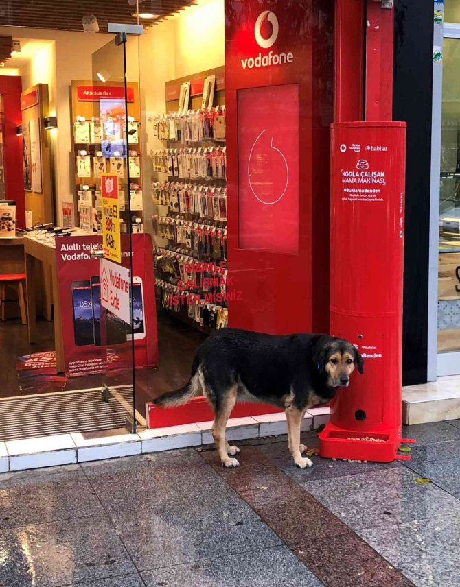 Pet Shop Alışverişi Sokak Hayvanları İçin Mamaya Dönüşüyor