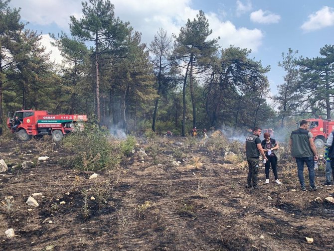Hızlı Müdahale Orman Yangınını Söndürdü