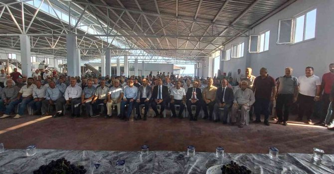 Kilis’te Üzüm Üreticilerine Kurutmalık Desteği