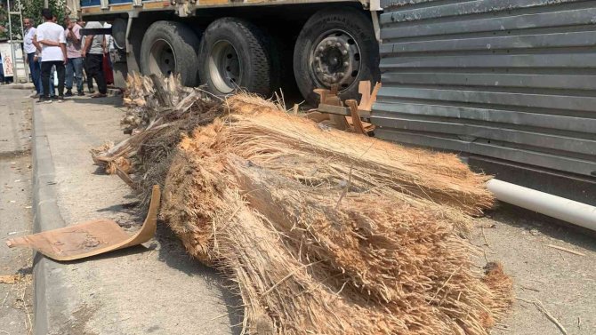 Kamyon, Ağaca Ve Oturan Adama Çarpıp Odunluğa Girdi