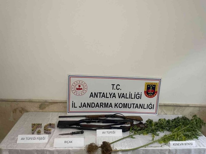 Jandarmadan Döşemealtı’nda Kenevir Baskını
