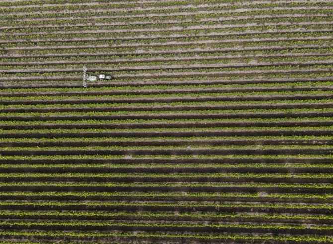 Avrupa Son 500 Yılın En Kurak Dönemini Geçiriyor