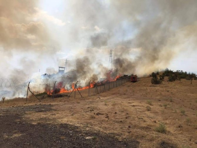 Bingöl’deki Orman Yangını Söndürüldü