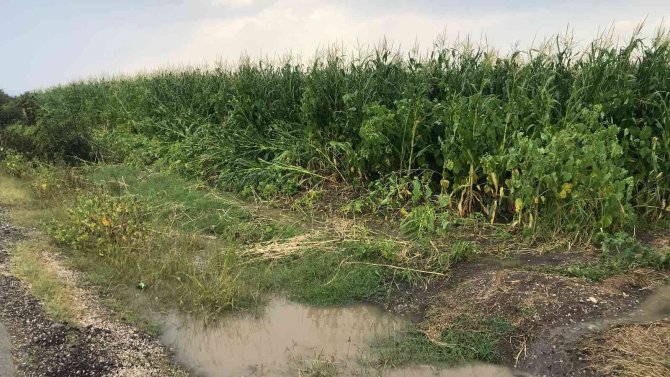 Çanakkale’de Dolu Yağışı Etkili Oldu