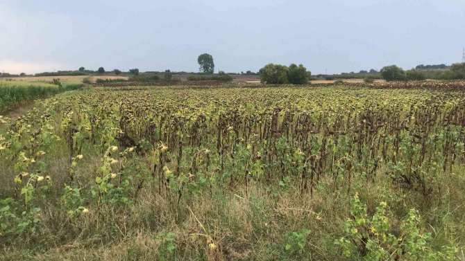 Çanakkale’de Dolu Yağışı Etkili Oldu