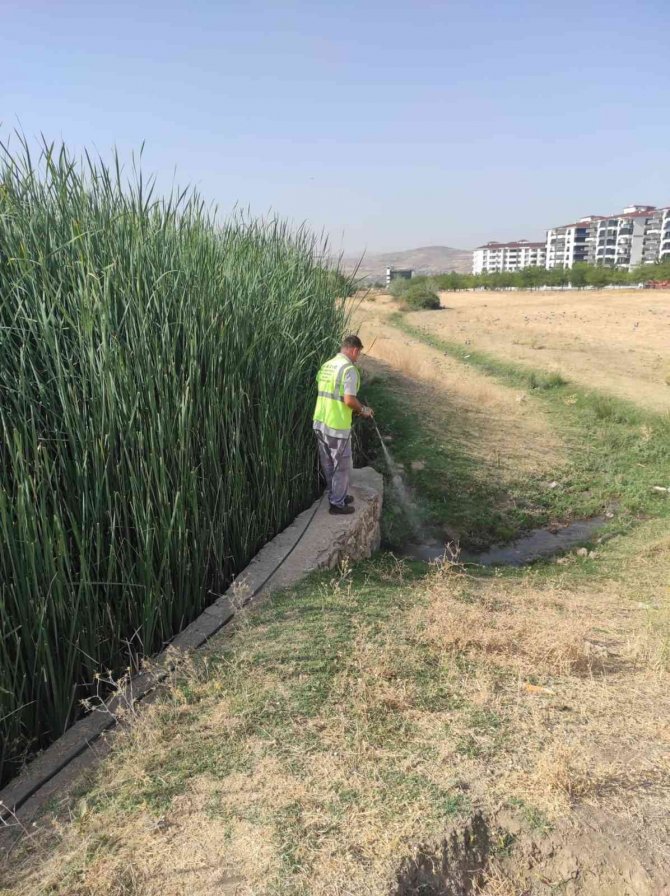 Elazığ’da İlaçlama Çalışmaları Sürüyor