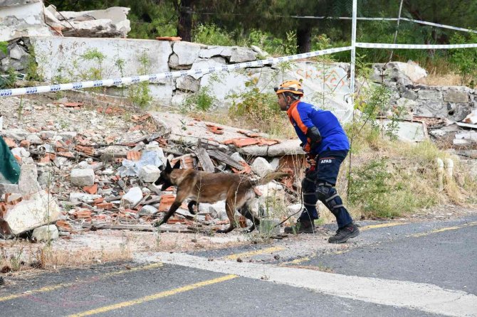 Tekirdağ’da Köpekli Arama Kurtarma Tatbikatı