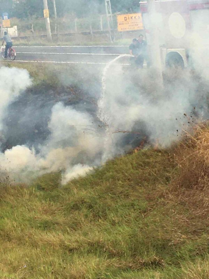 Tekirdağ’da Otluk Yangını