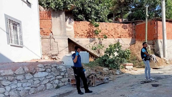 Meyve Toplamak İçin Çıktığı Ağaçtan Düşen Kadın Hayatını Kaybetti