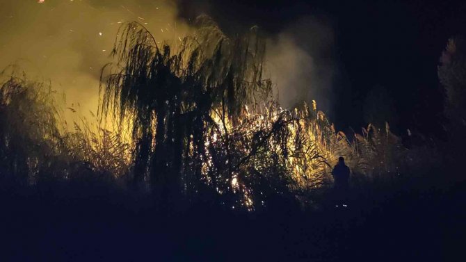 İ̇znik Gölü’nde Korkutan Yangın