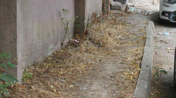 Kırklareliler Bozuk Yollardan Şikayetçi