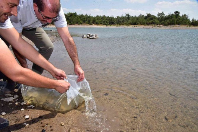 Manisa Büyükşehir Belediyesinden Balıkçılığa Destek