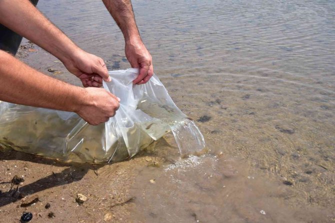 Manisa Büyükşehir Belediyesinden Balıkçılığa Destek