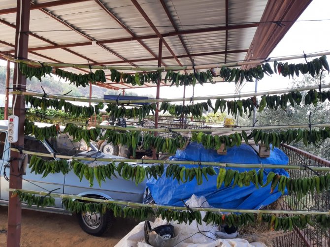 Sarıgöl’de Kışlık Yiyecek Hazırlığı Başladı