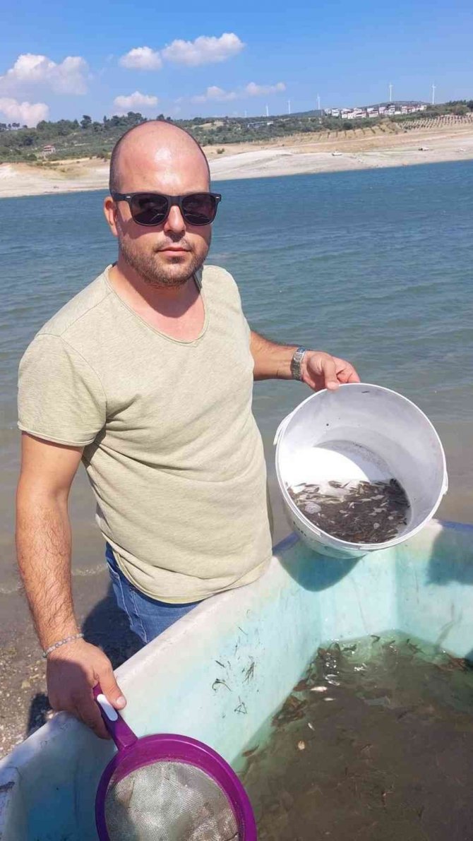 Sevişler’e 343 Bin Yavru Sazan Bırakıldı