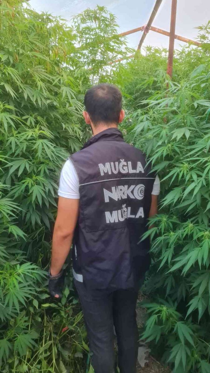 Dalaman Polisinden Seraya Uyuşturucuya Baskını