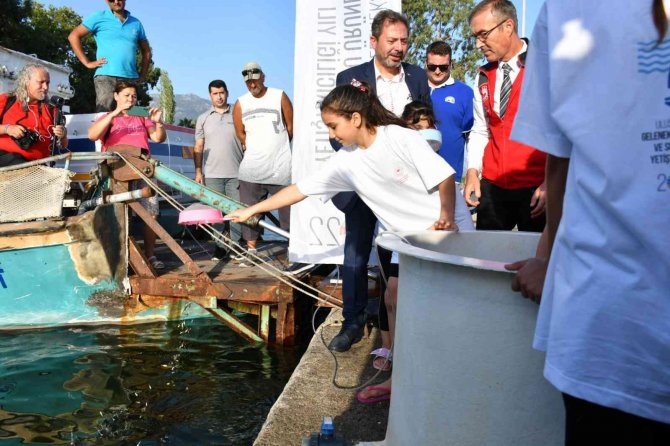 Köyceğiz Gölü’ne 260 Bin Sazan Bırakıldı