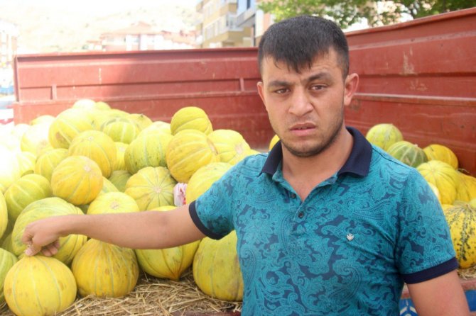 Çankırı’nın Meşhur Kavunu Tezgahlarda Yerini Aldı